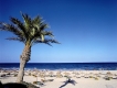 PLAYA MIL PALMERAS de Palmera Beach
